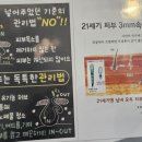 샤넬피씨 이미지