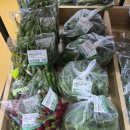 전곡농협하나로마트 이미지