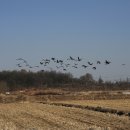 인천아시아드경기장 이미지