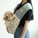 스누피 애견 이미지
