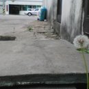 마포소방서 화장실 이미지