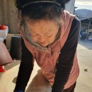 태형건업 이미지