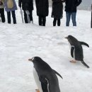 (주)사랑으로 이미지