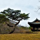 문경새재길 이미지