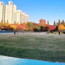 남사배수지 게이트볼장 | 성동구 금호동 아이와 갈만한곳 응봉근린공원 대현산배수지 산책