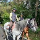 감자꽃스테이 | [보은] 법주사 템플스테이 후기