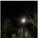 스테이정연 이미지