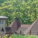 소금꽃정원 이미지