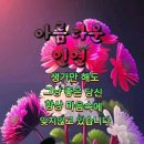 대현법무사사무소