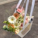 오늘 | [고려대 졸업스냅] 오늘스냅 추천 후기(2월 촬영/2인 촬영)