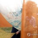 염색하기좋은날 이미지