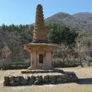 안강가축병원 이미지