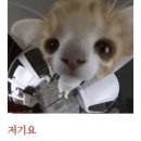 상예곡 | 하반기에 내가 뭘 봤냐면…
