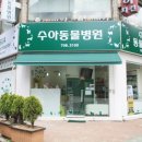 수아동물병원 이미지