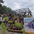 매향리 평화생태공원 이미지