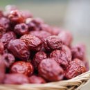 장신농장 이미지