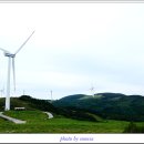 시내목장 이미지