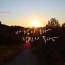 바람이분다 이미지