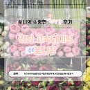 강남시장 | [서초] 강남 고속터미널 꽃시장 방문 후기(쥬리원예 위치, 가격정보)