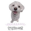 세븐일레븐 남가좌점 | [마포구 홍대] 분위기 좋은 구워주는 소고기 맛집 회식장소 일편등심