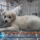 천보산로 이미지