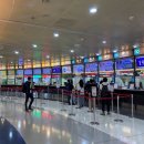 영천시외버스터미널 옆 교통섬 | 대만 카발란증류소 방문 리뷰(가는방법, 증류소 가이드 투어, DIY 체험)