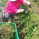 장백농장 이미지