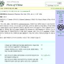 황칠(黃漆) 담금주, 몸과 마음을 다스리는 전통 건강주 이미지