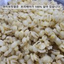 유기농 햇 검정찰보리쌀/ 녹색보리/ 늘보리쌀 /보리차 이미지