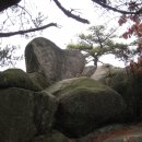 범골조기회 이미지