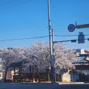 의성마을회관 | 의성역에서 청량리역.중앙선KTX이음 일반석 이용.