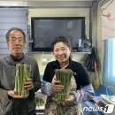 정귀숙 뉴스1
