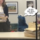 디자인쁘렝땅광주점 | [내돈내산] 한국에서 사면 손해인 셀린느 퀴르 트리옹프 카드 지갑 리뷰
