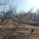 미천면-6 이미지