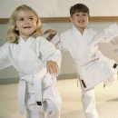 손 태권도 이미지