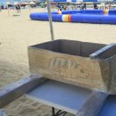 종이배 | 2025 부산 송도 종이배 경주대회 참가 후기