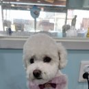 (주)가온메디 이미지