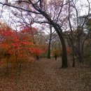 효민공 이경직 묘역 이미지