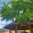 유산보건진료소 이미지