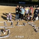 방카센타 우리일보