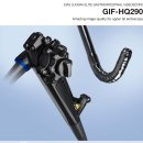 Olympus GIF-HQ290 High Definition Video Gastroscope 이미지
