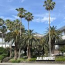 동화조경농원 | 2025.06 귤귤 제주제주일기 🍊