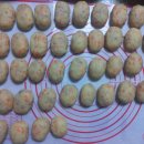 간식 텃밭 만들기 이미지