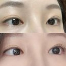 개나리맨션경로당 | [이엘뷰티] 대구속눈썹펌 자연스럽게 잘하는 곳