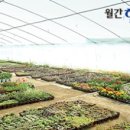 경희허브한의원 이미지