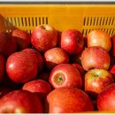 광성세탁소 이미지