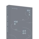 북스앤북스