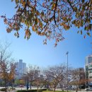 문화회관사거리 2 이미지