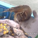 서해수산연구소 이미지