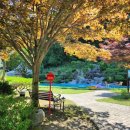 트리밸리 | 원주 신상숙소 트리밸리 솔직후기 (수영장, 계곡, 텃밭까지 有)